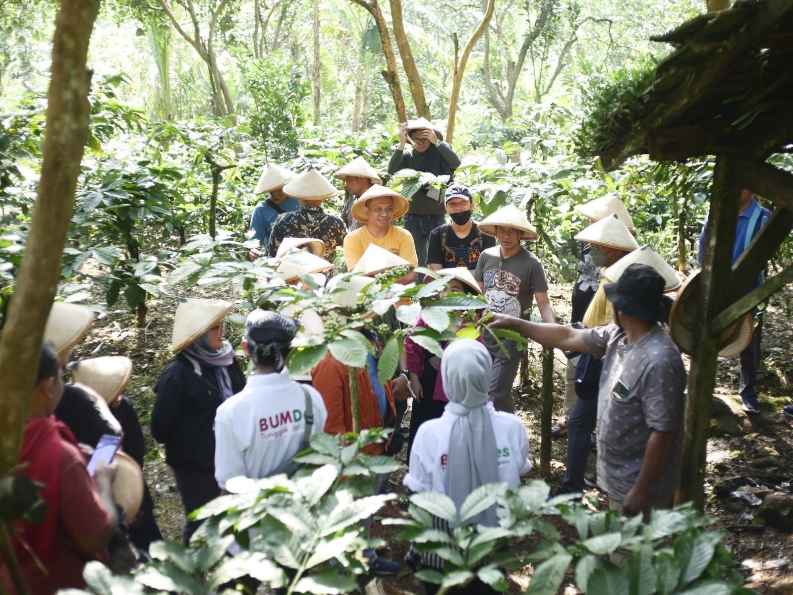 Wisata
